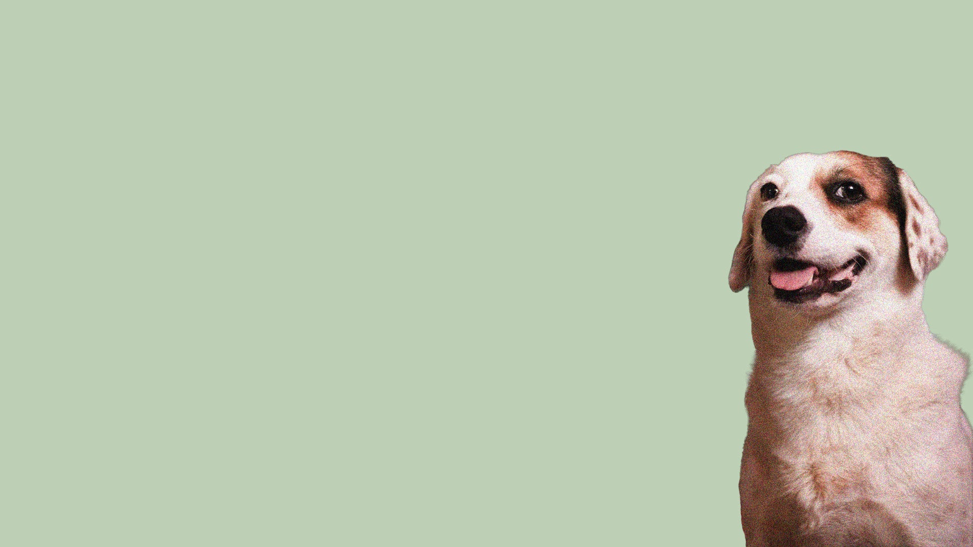 Wonky-corner-etusivu-t-paidat